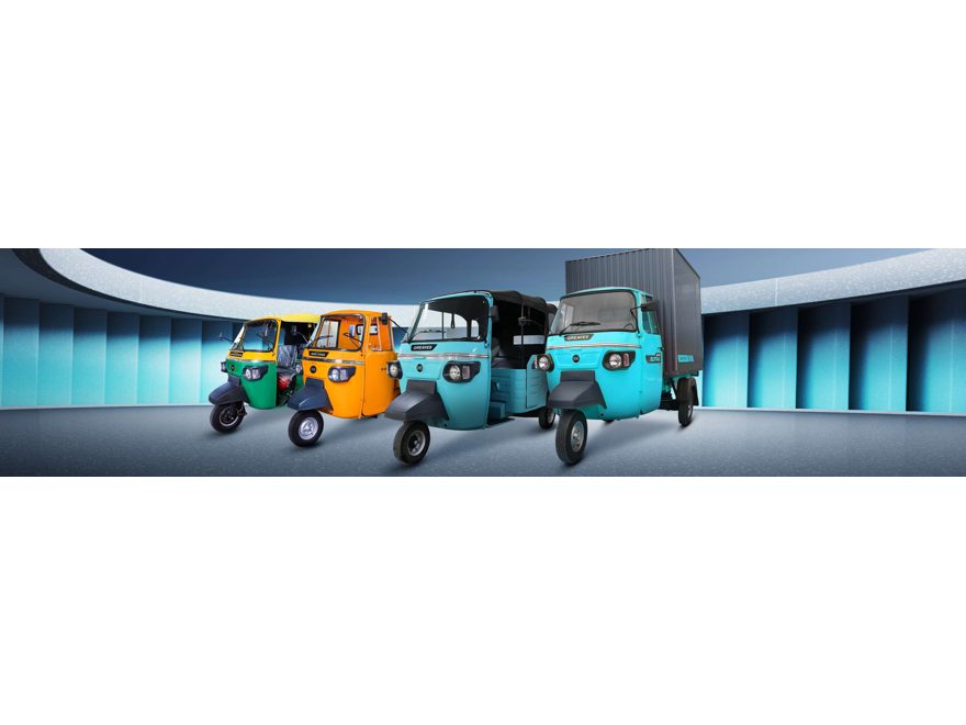 Fleet and institutional supply